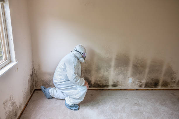 Best Mold Testing  in Brownwood, TX